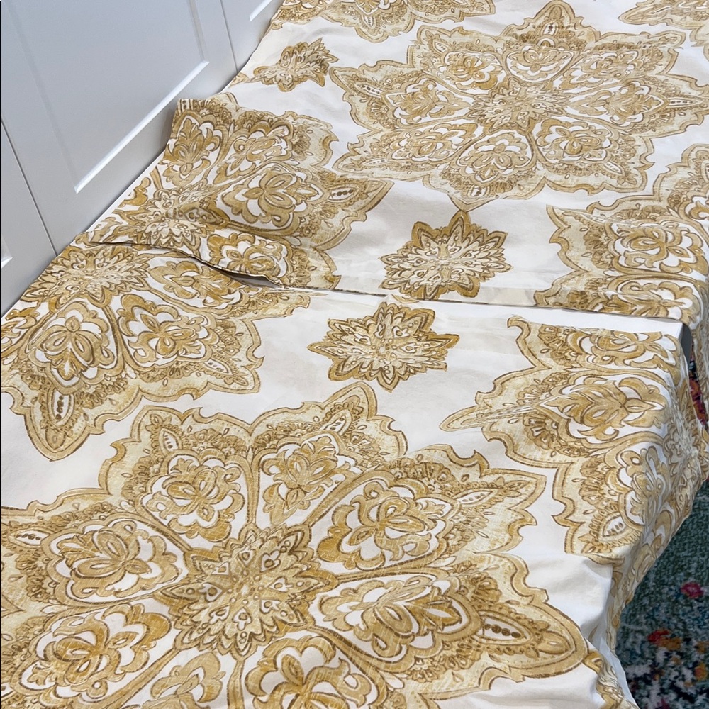 Pottery Barn-set of Euro shams (2)